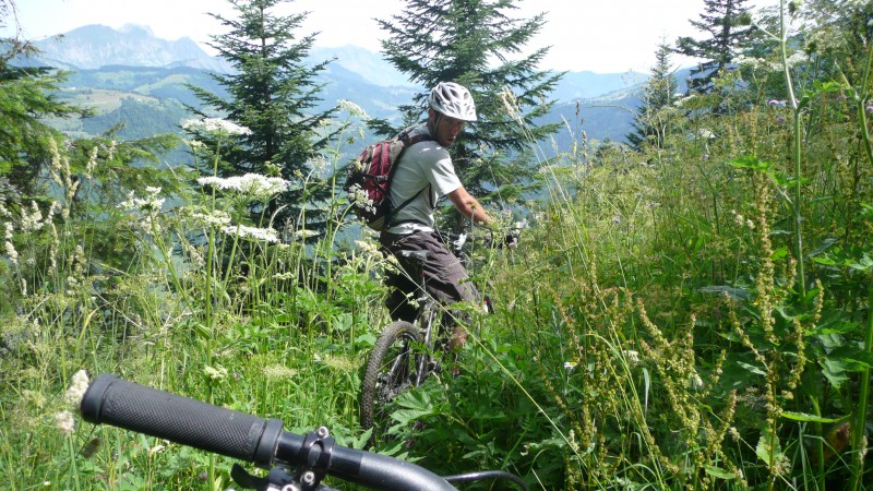 Croix de Coste : Départ du sentier croisement route alt 1250. Toujours de l'herbe