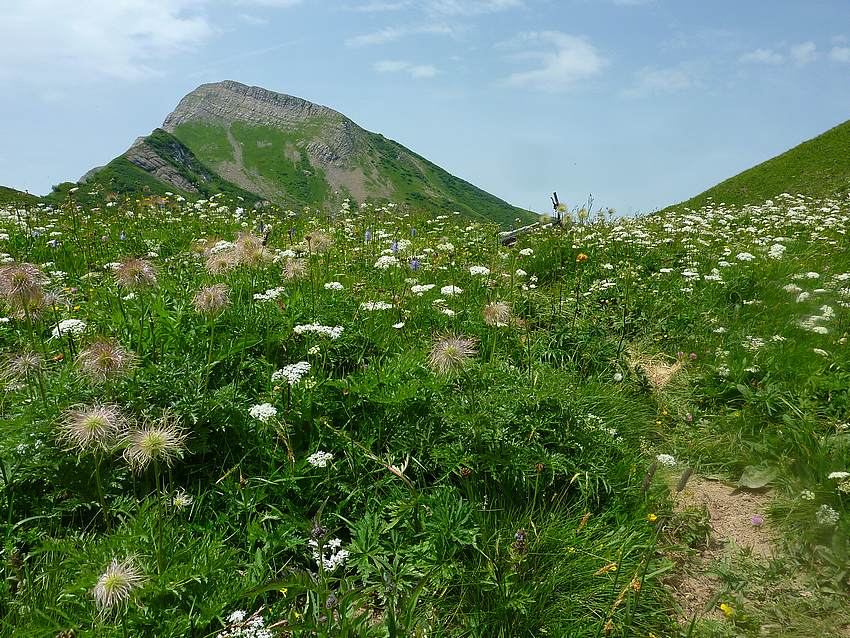 #2 Armène : Passage d Armène : Passage d'Armène