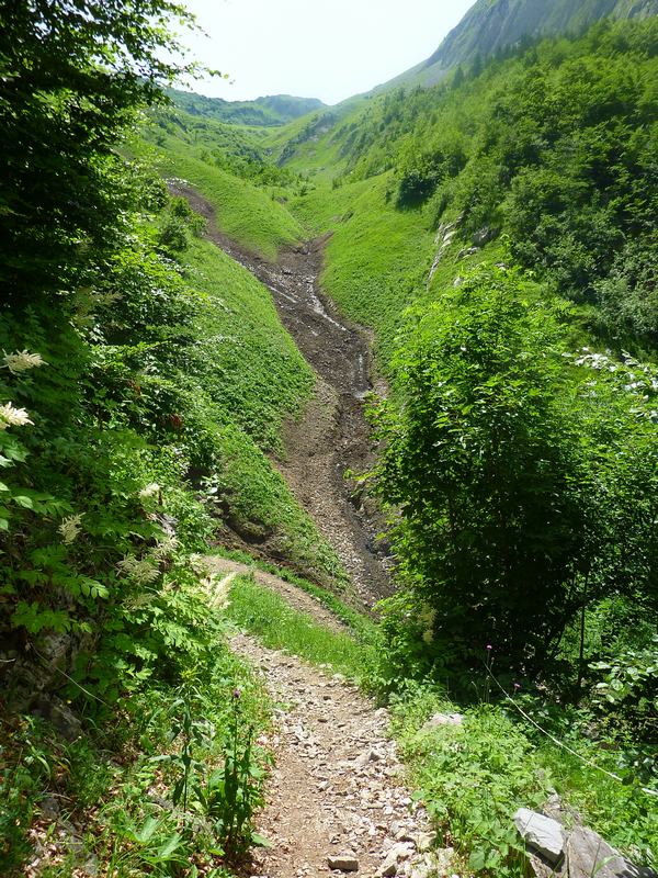 #11 Armène : Jonction avec la combe de la Lanche Armène : Jonction avec la combe de la Lanche