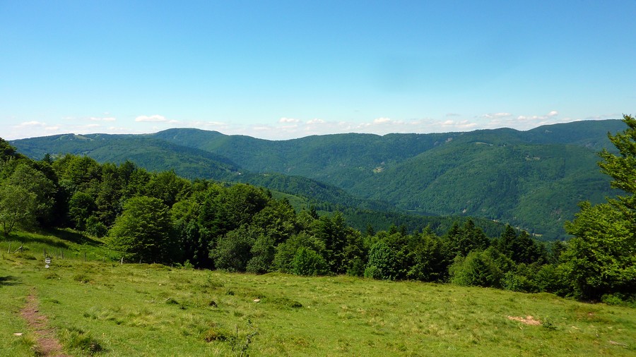 Ballon d'Alsace : Haute vallée de la Doller