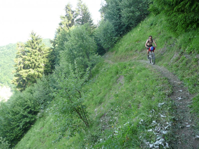 #1 sentier : Début sentier de la cochette sentier : Début sentier de la cochette