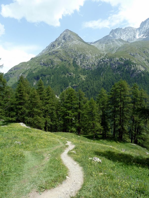 La Gouille : Descente finale sur la Gouille