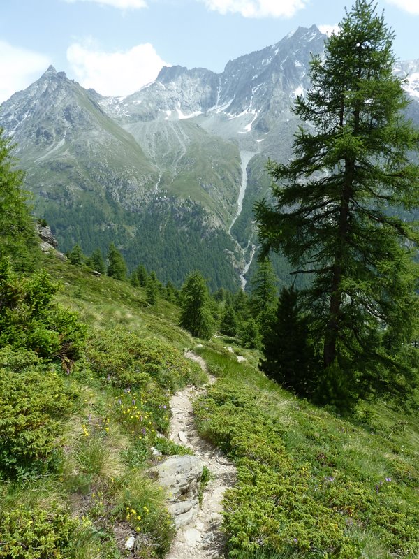 Cab. des Aig. Rouges : Descente plus technique dans le bas