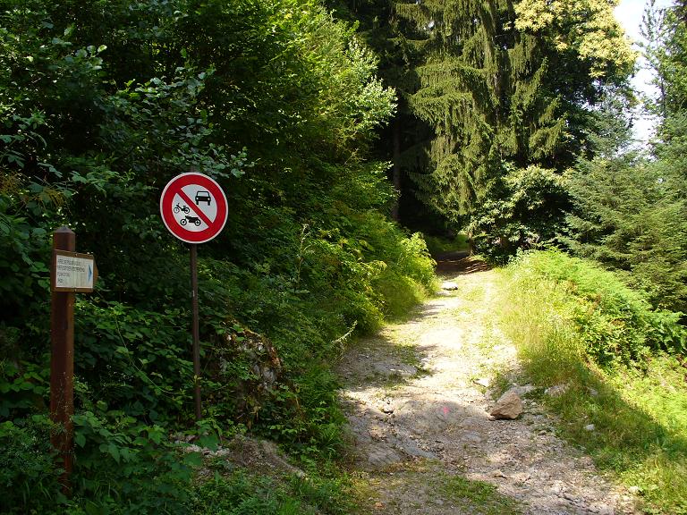 Piste Forestière : Bonne nouvelle, la piste forestière est maintenant interdite aux véhicules
