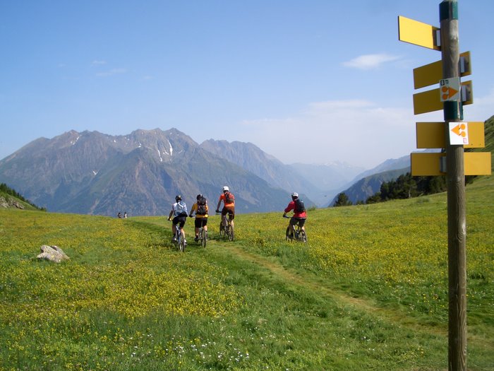 Col d'Hurtière : Superbe! La squad colorée du jour s'amuse dans les fleurs d'altitude!