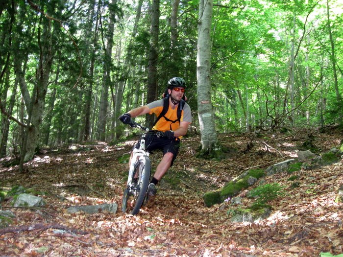 Epingle feuille : le métier rentre vite mais il est du mauvais coté du vélo. Trop rapide le pif paf ;-)