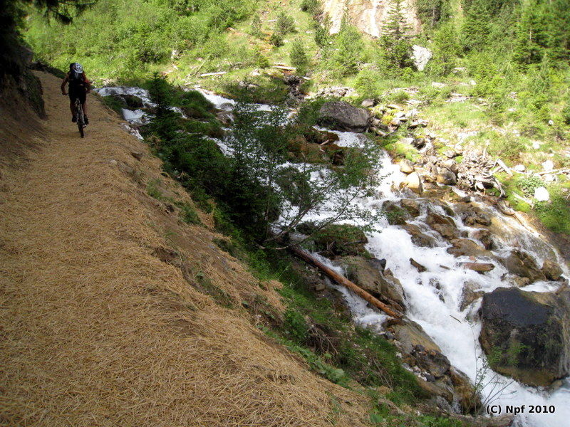 #2 Torrent de la Rosière : Mais pourquoi cette paille au sol ? Torrent de la Rosière : Mais pourquoi cette paille au sol ?