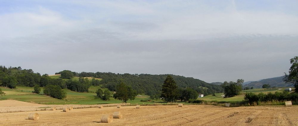 #1 Départ de Cerin : le foin est bien sec Départ de Cerin : le foin est bien sec