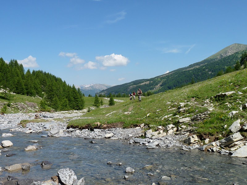 lignins : ça passe le ruisseau ?