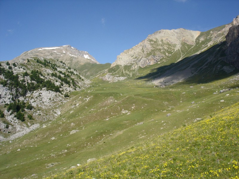 #8 Fleurs : Col de Val Haute et Crête de Rougnoux Fleurs : Col de Val Haute et Crête de Rougnoux