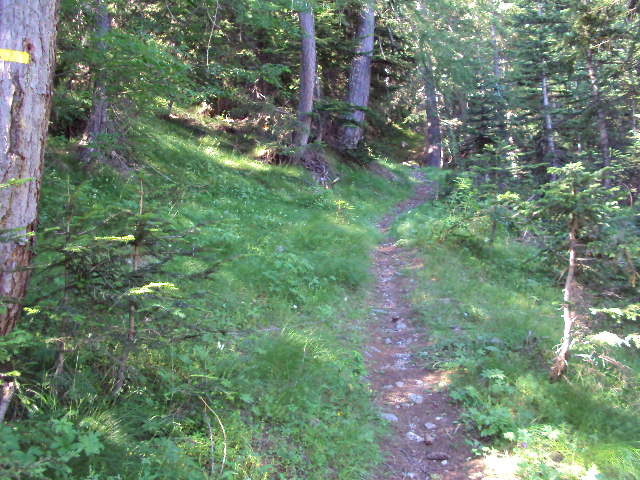 #3 traversee : un beau chemin traversee : un beau chemin