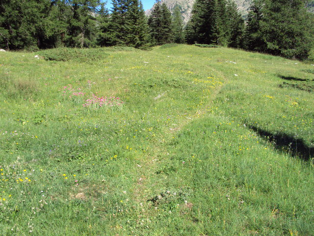 #7 traversee : de bien belle prairie traversee : de bien belle prairie