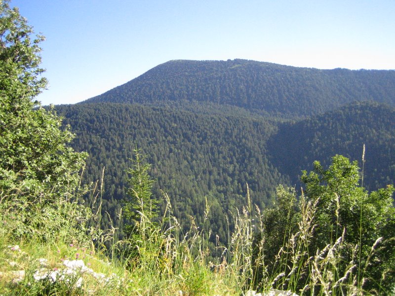 #5 Montagne de Durbonas : Il y a de quoi defriché Montagne de Durbonas : Il y a de quoi defriché