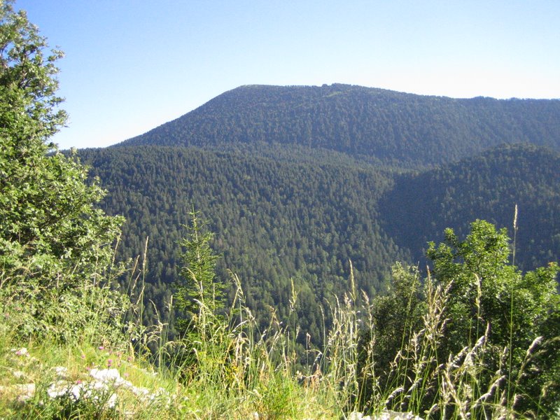 Montagne de Durbonas : Il y a de quoi defriché