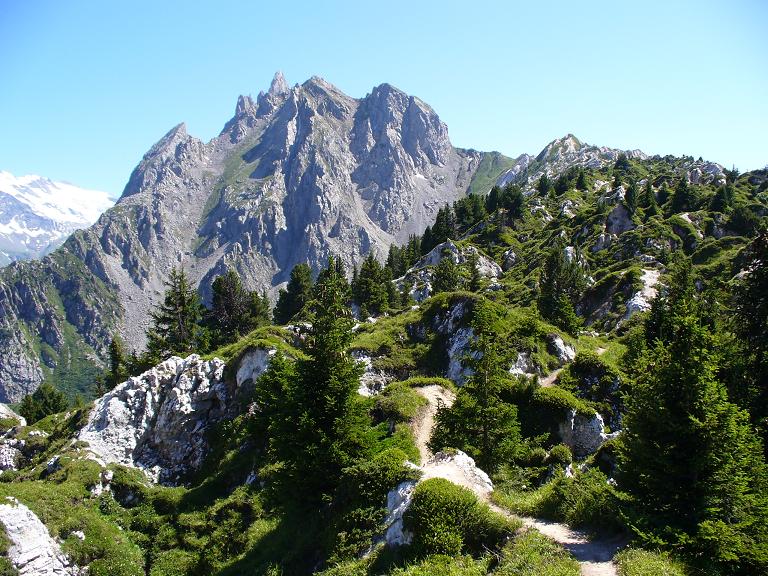 #25 Crête du Mont Charvet : Carte Postale Crête du Mont Charvet : Carte Postale