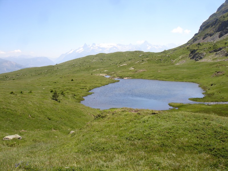 #5 Ambiance bucolique Ambiance bucolique