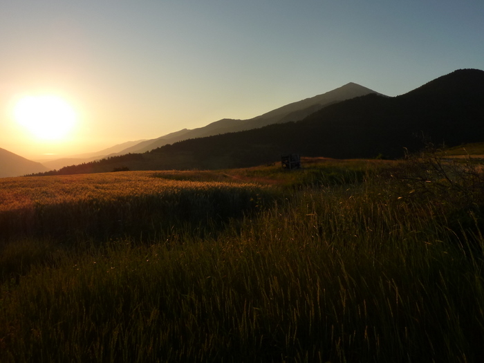 #2 Le soleil catalan se lève : La journée s Le soleil catalan se lève : La journée s'annonce bien