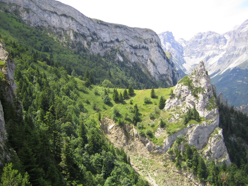 #5 Sentier remontant : aprés le passage expo Sentier remontant : aprés le passage expo