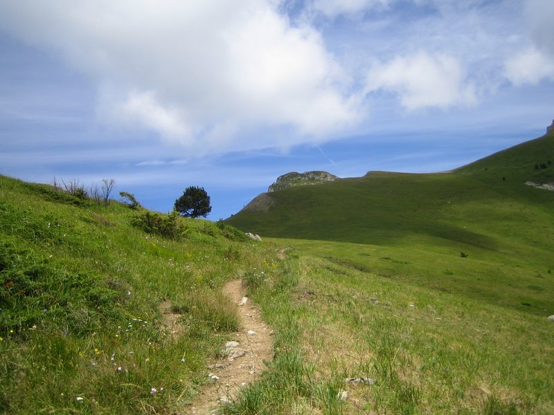 col de l'Aup : Au fond