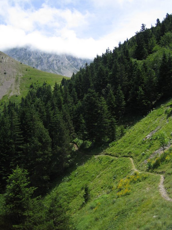 Sentier en traversé : Après le Col