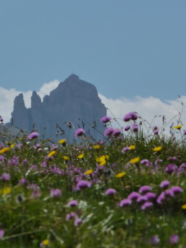 Prairies : Le Queyras est magnifique en cette saison