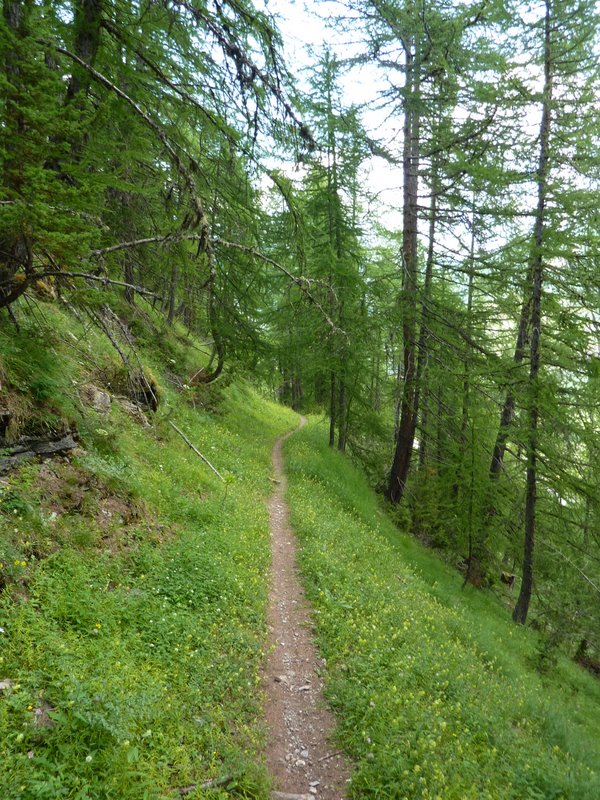 Sentier ludico-technique : Sentier reliant le Queyron à Arvieux