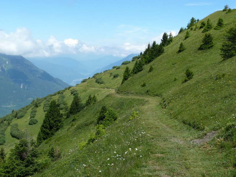 #2 Grand Truc : Sentier grand luxe récemment fauché Grand Truc : Sentier grand luxe récemment fauché