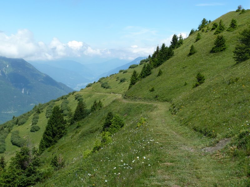 Grand Truc : Sentier grand luxe récemment fauché