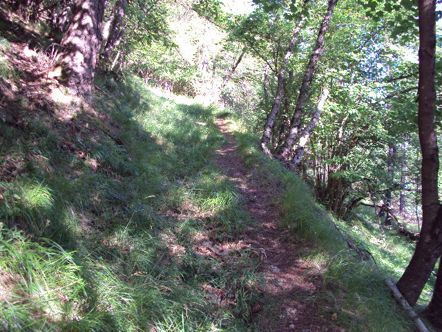 #2 sentier : vers le collet besson sentier : vers le collet besson