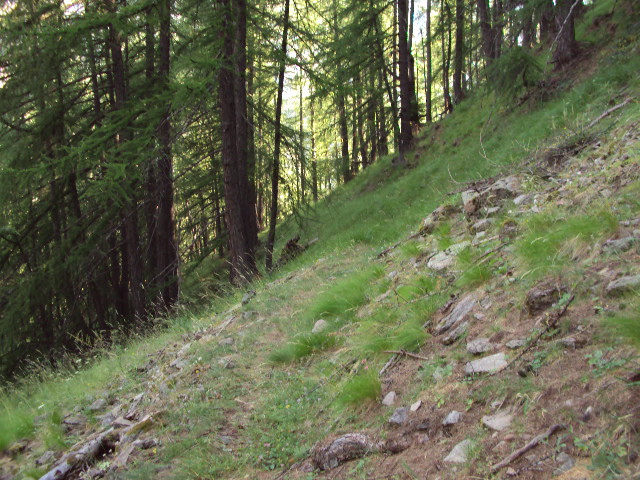 #6 sentier : apres font gracian vers la balise 40 sentier : apres font gracian vers la balise 40