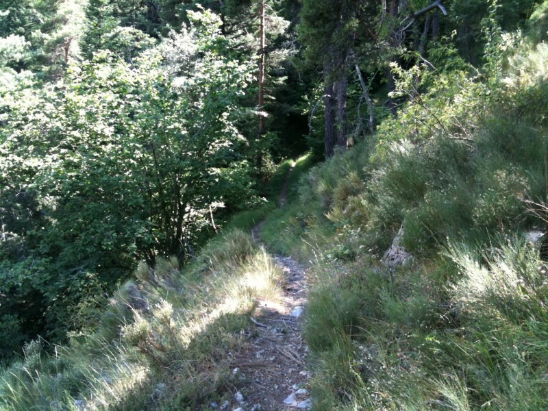 #10 Descente crete de Tardieu : Descente sous les granges de la Brasque vers la crête de Tardieu. Single étroit et technique à souhait. Un rrrrrrégal aurait dit le président si il avait été là Descente crete de Tardieu : Descente sous les granges de la Brasque vers la crête de Tardieu. Single étroit et technique à souhait. Un rrrrrrégal aurait dit le président si il avait été là