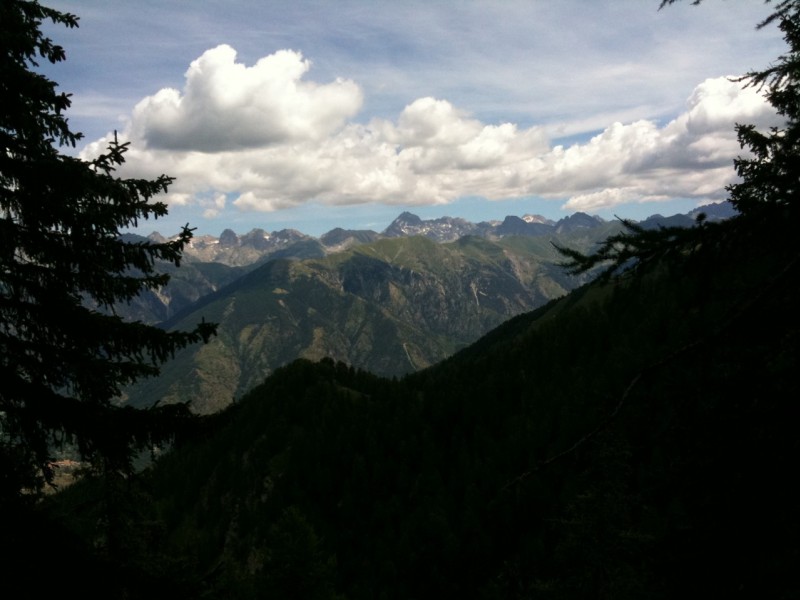 #9 Vue sur le Mercantour : Vers le collet des trous, Vue sur le Mercantour, Le gélas à droite.
Vivement qu Vue sur le Mercantour : Vers le collet des trous, Vue sur le Mercantour, Le gélas à droite.
Vivement qu'il reneige