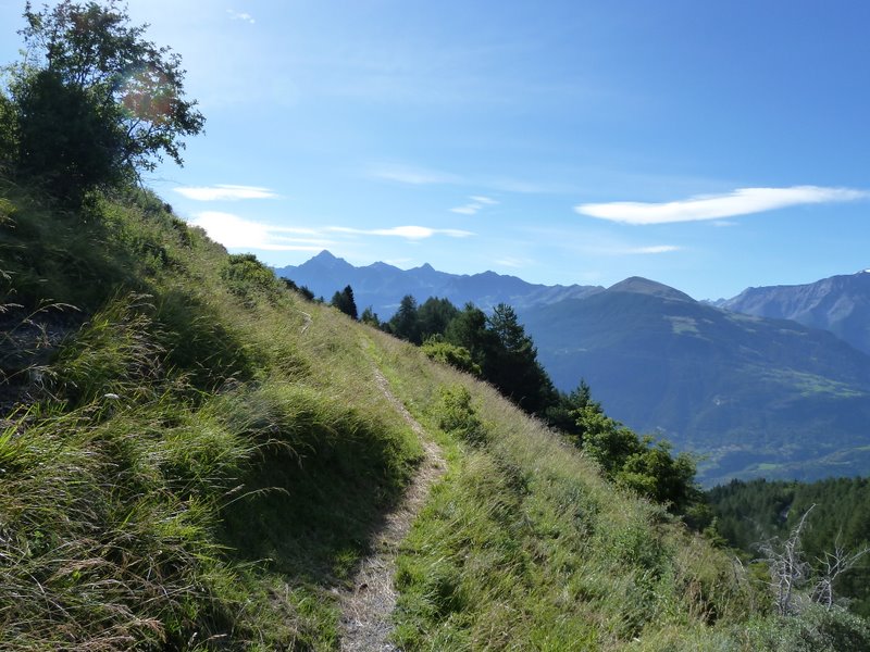 #1 Mt Fallère : Montée bucolique face au Mt Emilius Mt Fallère : Montée bucolique face au Mt Emilius