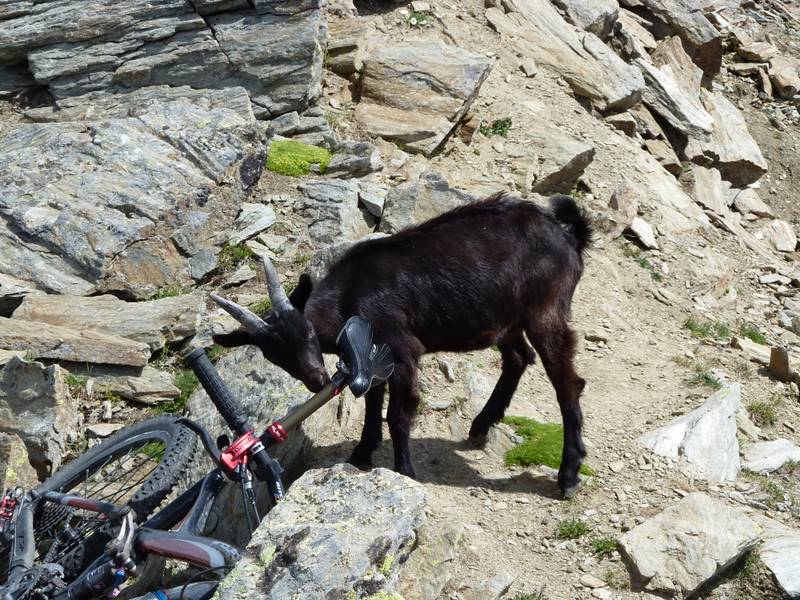 Mt Fallère : Très intéressée aussi par le vélo