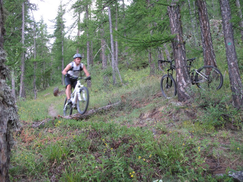 #4 obstacle aménagé : y aurait il de rares vtt qui passent par ici ? obstacle aménagé : y aurait il de rares vtt qui passent par ici ?