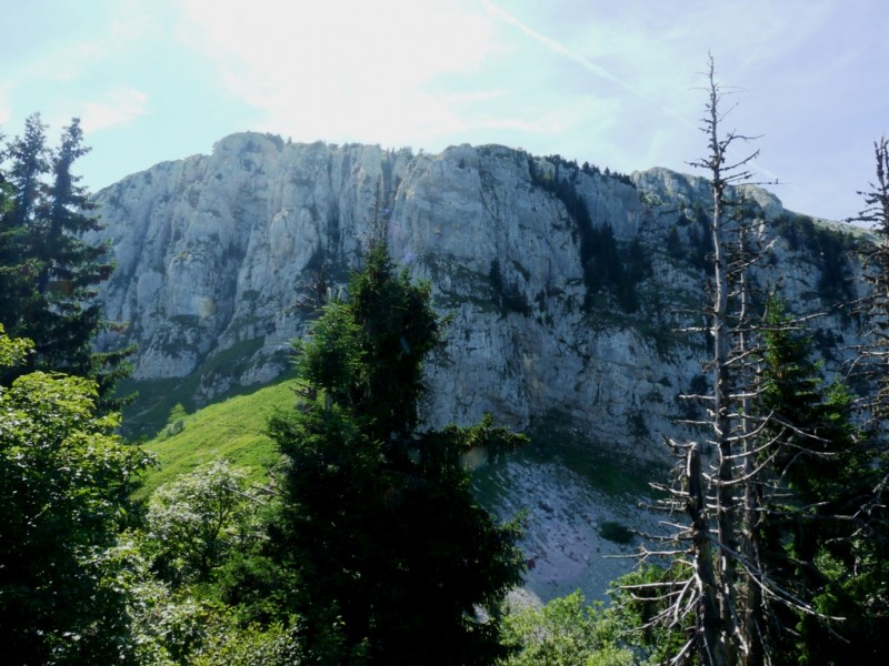 #3 Le Grand Som : depuis le sommet de crête des Aures. Le Grand Som : depuis le sommet de crête des Aures.