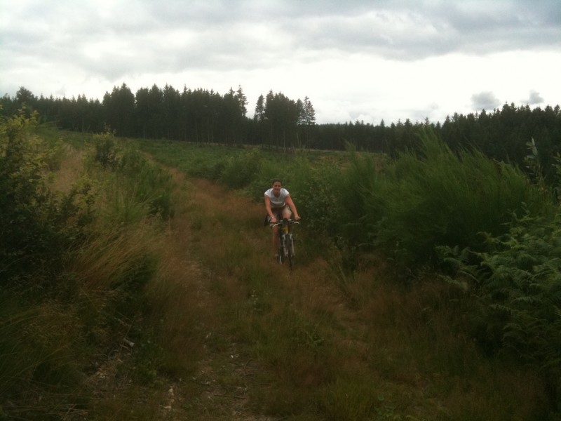 #1 Piste : dans la prairie Piste : dans la prairie