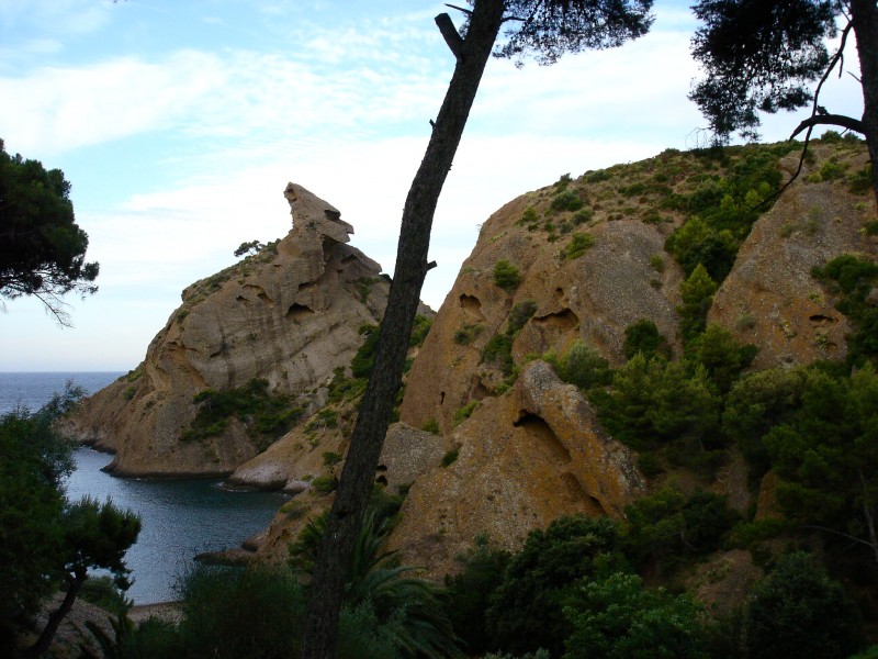 #11 Tête de Chien : calanque de Figuerolles et toujours cette dalle impressionnante pour descendre dans la calanque (entre les deux pins de droite)! Tête de Chien : calanque de Figuerolles et toujours cette dalle impressionnante pour descendre dans la calanque (entre les deux pins de droite)!