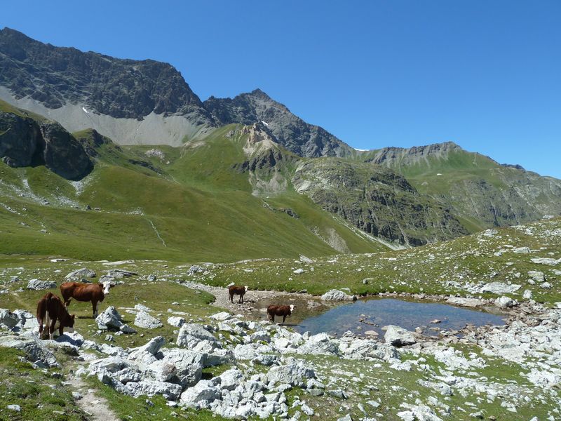 Plan des Eaux : Bientôt la fin de la descente, on voit la suite sur la droite et surtout le raide col de Bramanette (petite crête à droite)