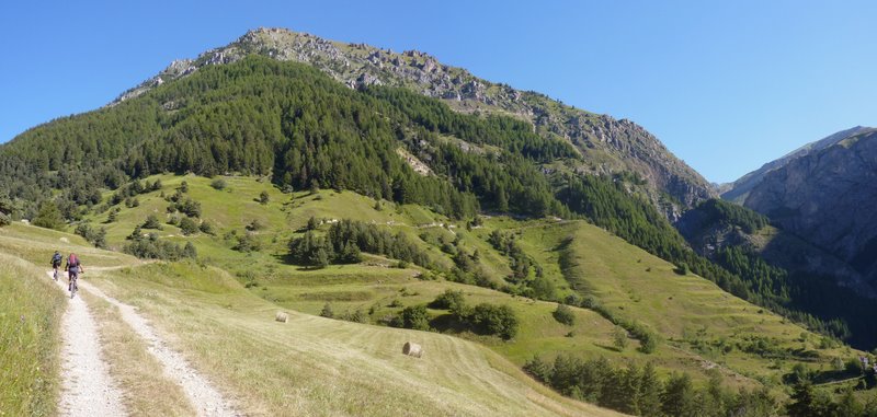 Montée au dessus de Moriglione : La piste est agréable