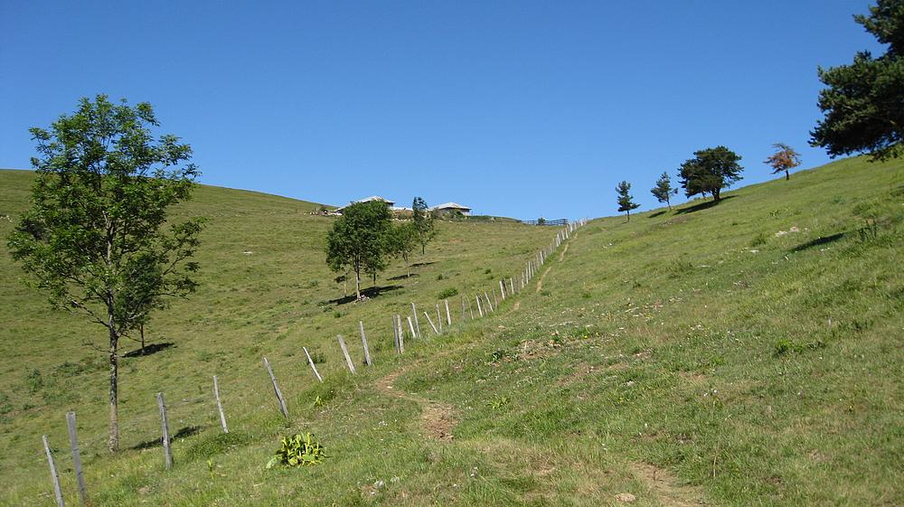#7 Sous la Bergerie : Beau sentier bien tracé Sous la Bergerie : Beau sentier bien tracé