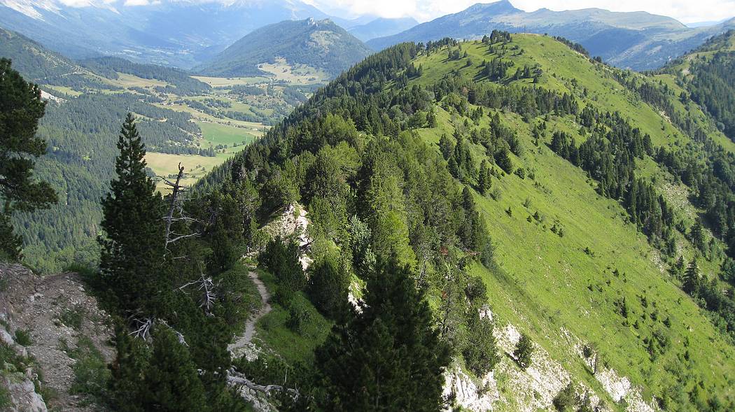 #3 Vue sur l Vue sur l'itinéraire parcouru : depuis le sommet de la Crête du Brisou