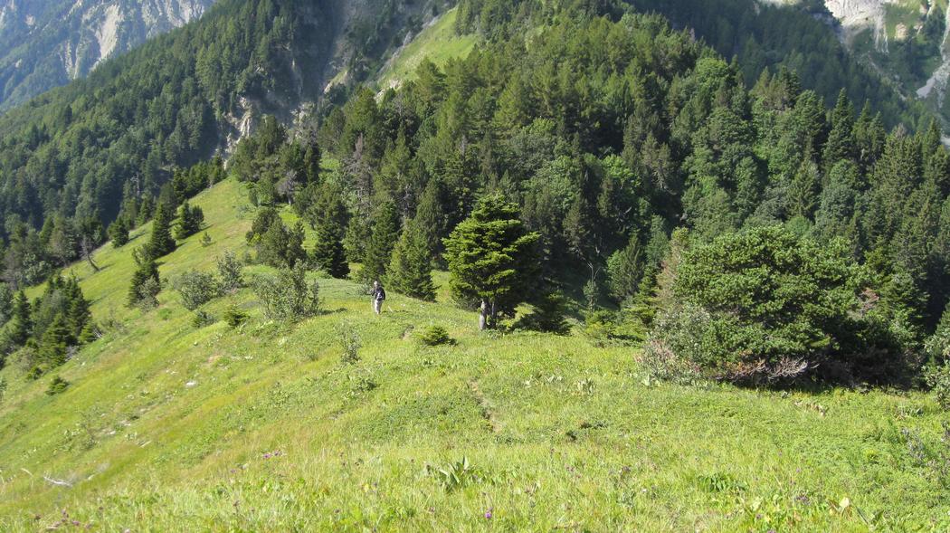 #2 Courte descente au sud : sur un sentier peu voyant mais pas mal Courte descente au sud : sur un sentier peu voyant mais pas mal
