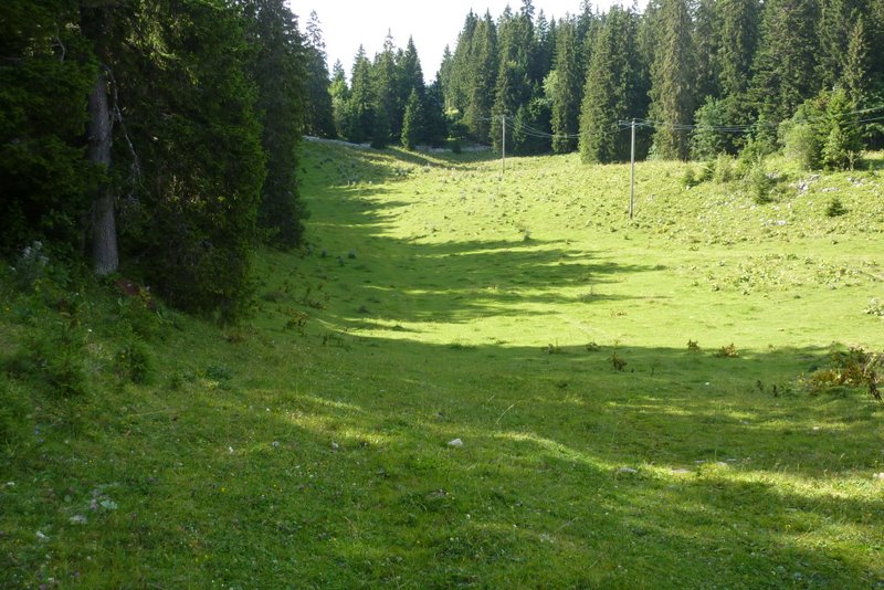 #10 Tapis d Tapis d'herbe : Une dernière pour la route