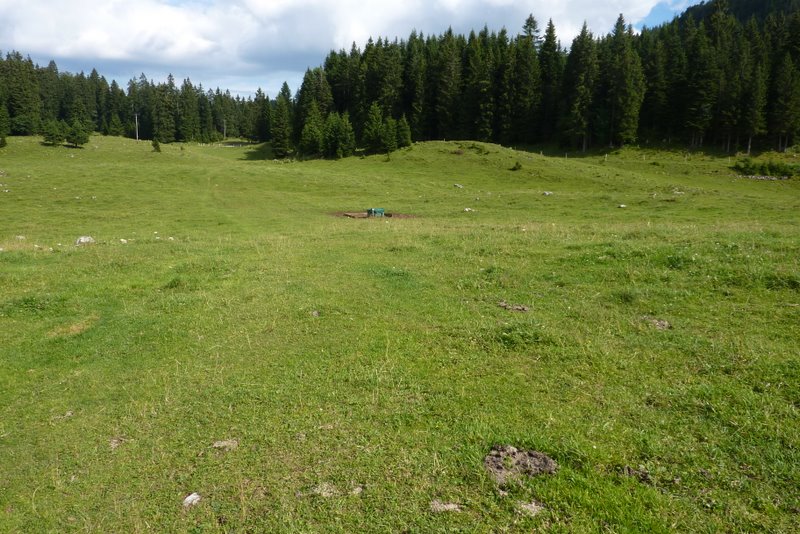 #9 Tapis d Tapis d'herbe : Ca donne envie hein! :D