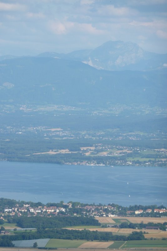 Le lac Léman et les Alpes : de Saint-Cergues