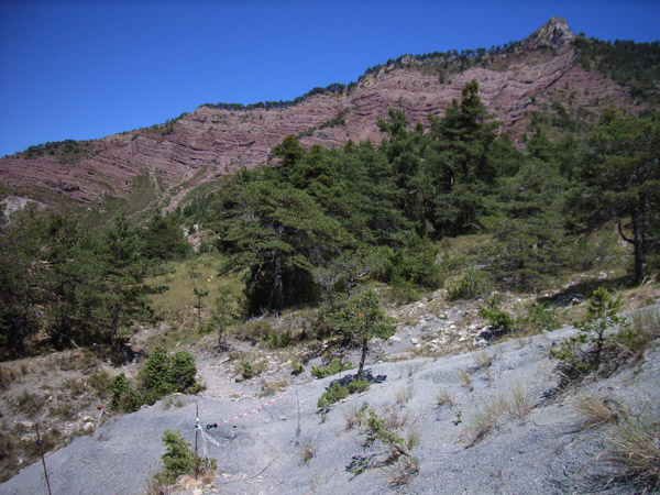 #10 Maladrech : Entre terres rouges et terres grises Maladrech : Entre terres rouges et terres grises