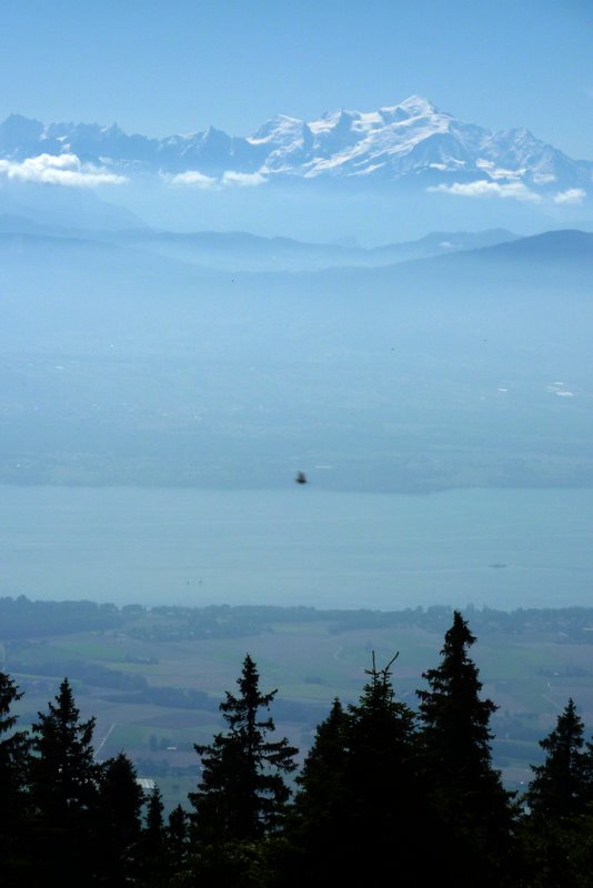 #1 Du Jura aux Alpes : Avec le Mont-Blanc en guest star aujourd Du Jura aux Alpes : Avec le Mont-Blanc en guest star aujourd'hui