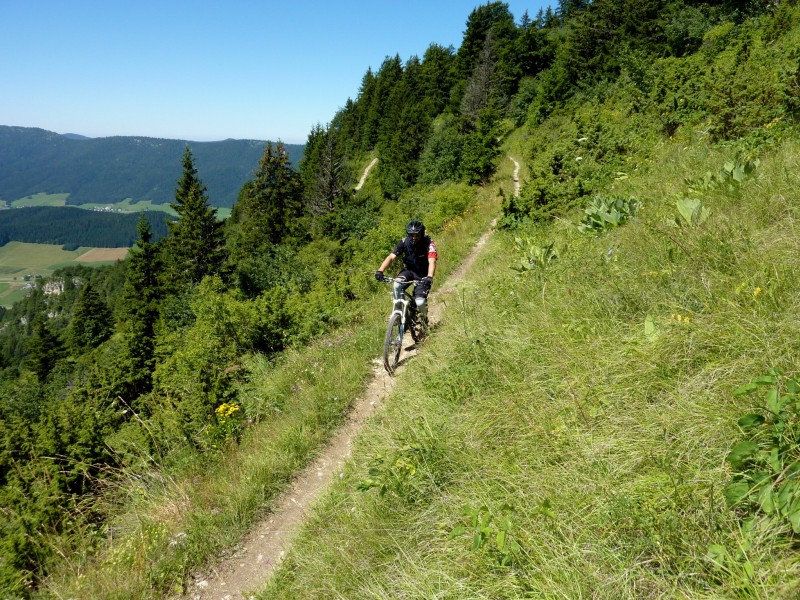 Dans la partie médiane : du sentier de Bellecombe