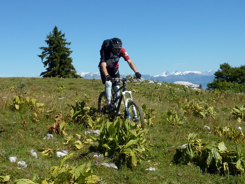 Panoramique : à Plénouze